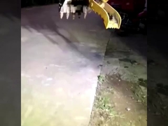 工場のカスタマイズされた全新 ミニ掘削機 液圧グリップバケツ販売